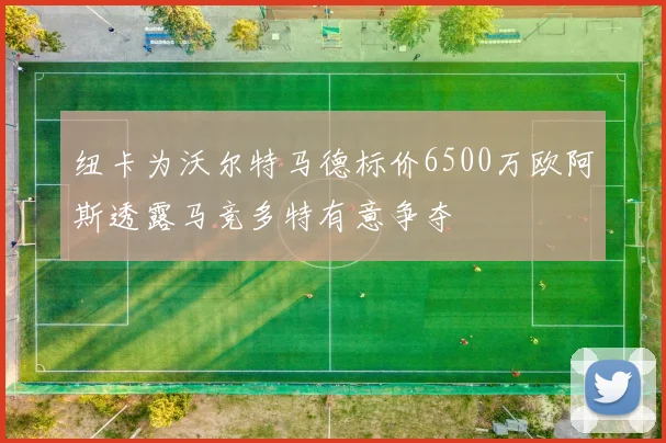 纽卡为沃尔特马德标价6500万欧阿斯透露马竞多特有意争夺